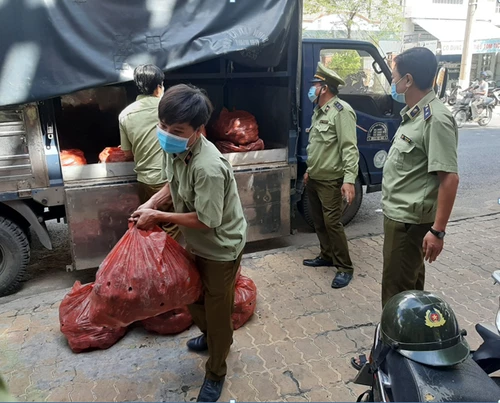 Công chức QLTT Tiền Giang khẩn trương tập kết khoai lang từ Vĩnh Long chuyển sang