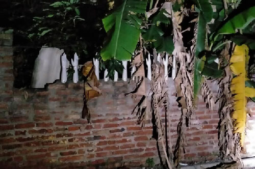 Thanh niên “giật bắn người” khi vô tình phát hiện hàng rào siêu rùng rợn của nhà hàng xóm