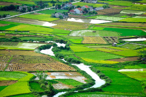 Vẻ lộng lẫy của “thiên đường màu xanh” ngay ở Việt Nam