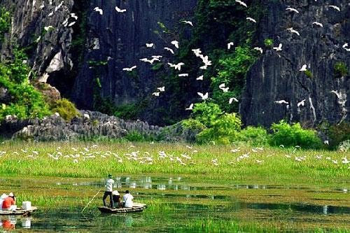 Khung cảnh thơ mộng của “vịnh không sóng” ở Việt Nam