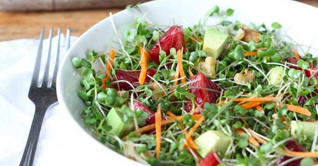 Cẩn trọng với thực phẩm dễ gây ngộ độc