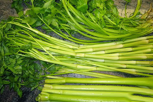 Rau cần - 'thần dược' chữa bách bệnh bạn không ngờ tới