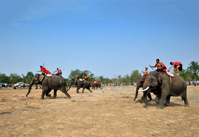 Lễ hội đua voi. Ảnh: Diem Dang Dung.