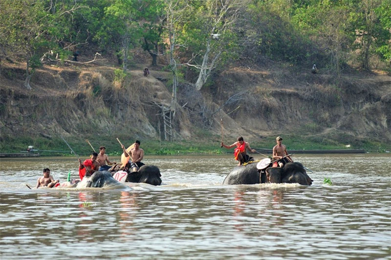 Hội thi voi bơi vượt sông. Ảnh: Diem Dang Dung.