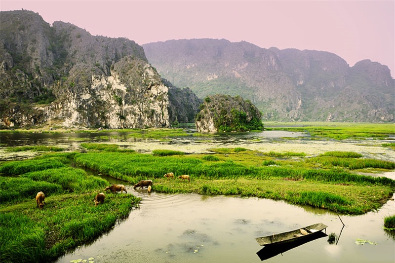 Vân Long là khu vực có diện tích đa dạng sinh học cao, có hệ sinh thái đá vôi là nơi sinh sống của quần thể voọc quần đùi lớn nhất ở Việt Nam với khoảng trên 100 cá thể. Ảnh: Quangtoai.