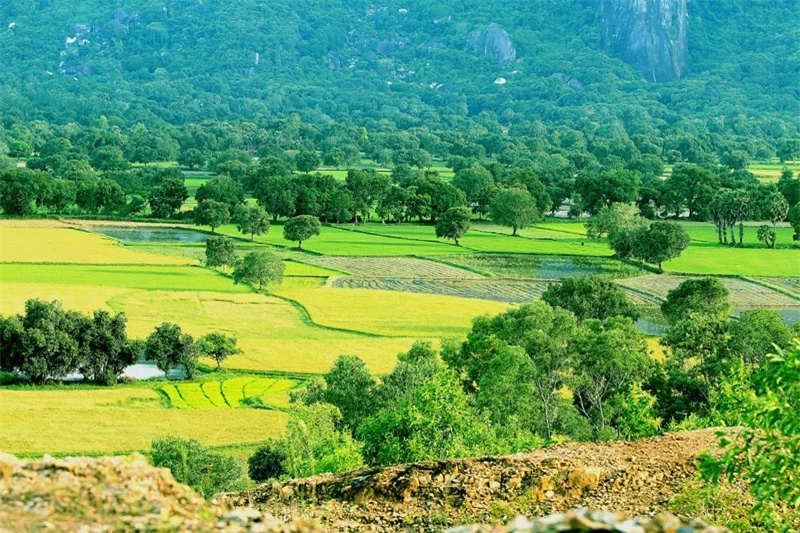 Hàng năm, địa điểm này thu hút rất đông khách du lịch tới thưởng ngoạn. Ảnh: Phạm Đình Toại.