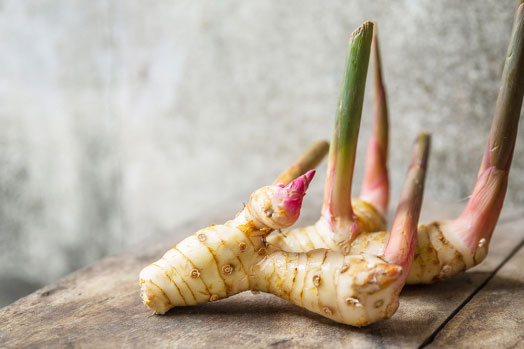 Những lợi ích thần kỳ của củ riềng