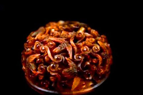 Bác gái mang đồ gia truyền đi thẩm định, chuyên gia thốt lên: Vật này 'còn sống', không thể định giá được!