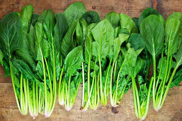 Nên ăn rau chân vịt thường xuyên