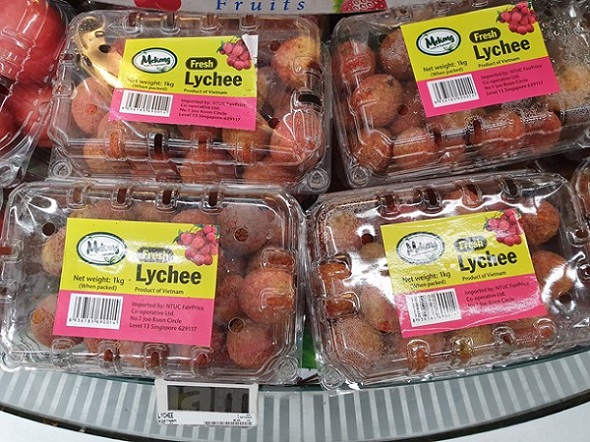 Vải thiều lên kệ hàng trăm siêu thị Singapore, giá bán cao hơn năm ngoái