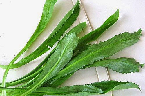 4 mẹo chữa hôi miệng vĩnh viễn mà không hết 3000 đồng