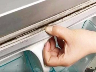 Làm sạch bong gioăng tủ lạnh bằng mẹo cực đơn giản, vừa nhàn vừa dễ đánh tan vi khuẩn