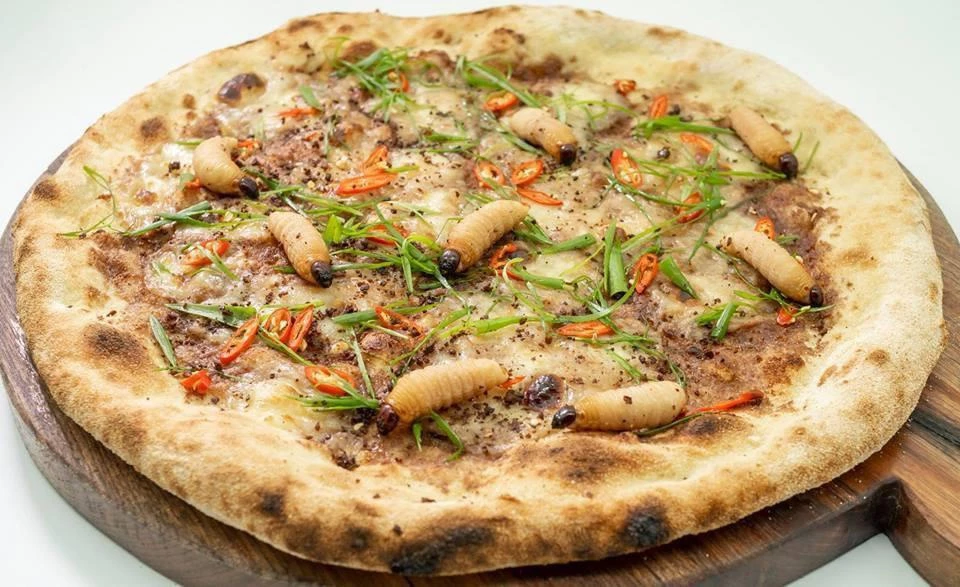 Pizza đuông dừa là món ăn từng gây sốt với các tín đồ ẩm thực bởi nguyên liệu có một không hai. Đó là những con đuông dừa còn sống bò trên đế bánh. Đuông dừa, đặc sản Nam Bộ, kết hợp với các thành phần thường thấy của pizza truyền thống như phô mai mozzarella, ô liu anglaise, hành lá, ớt cay đỏ... Chiếc "pizza chuyển động" phải được thưởng thức ngay lúc mang ra bởi đuông dừa có thể bò khỏi bánh. Ảnh: CRI.