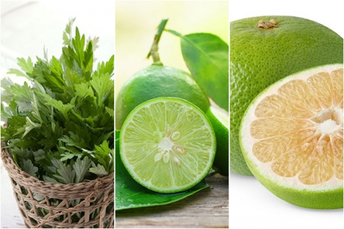 Chữa gai cột sống bằng những bài thuốc đơn giản