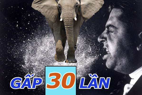 Cực kỳ bất ngờ: Voi có thể hút thức ăn với tốc độ 540 km/h - nhanh gấp 30 lần cú hắt hơi của con người