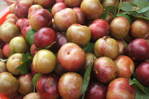 Thực phẩm cần tránh ăn ngay lập tức nếu không muốn bị mụn