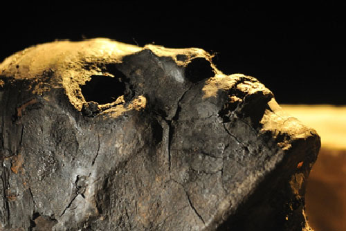 Xác ướp bị chặt đầu: Tìm ra bí mật giấu trăm năm