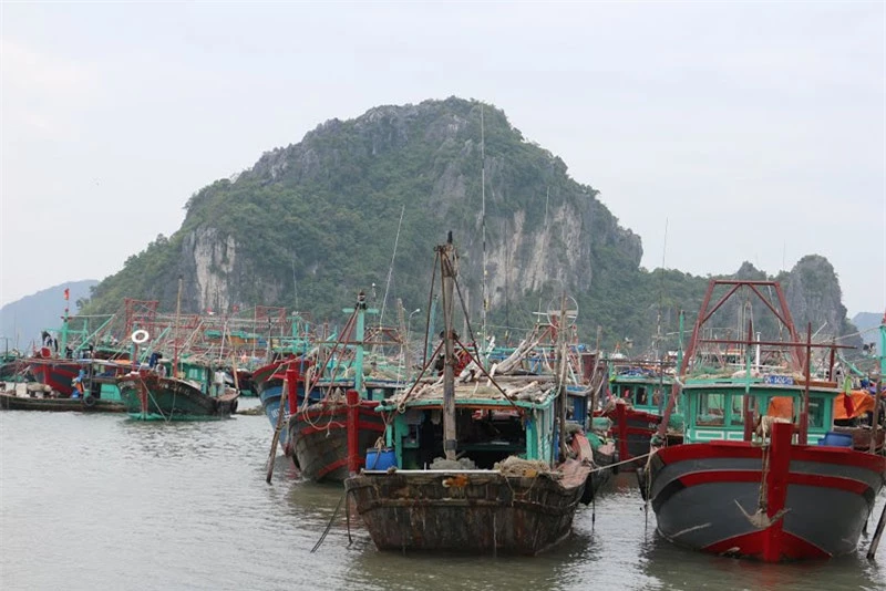 Cảng là điểm trung chuyển phục vụ tuyến giao thông đường thủy từ trung tâm thị trấn Cái Rồng ra các xã đảo của huyện Vân Đồn, huyện đảo Cô Tô (Quảng Ninh). Ảnh: Bảo Cung Đỗ