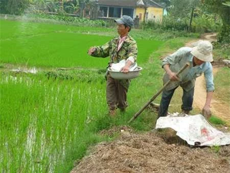 Đàn ông thay phụ nữ làm việc đồng áng. (Ảnh: ngoisao.net)    