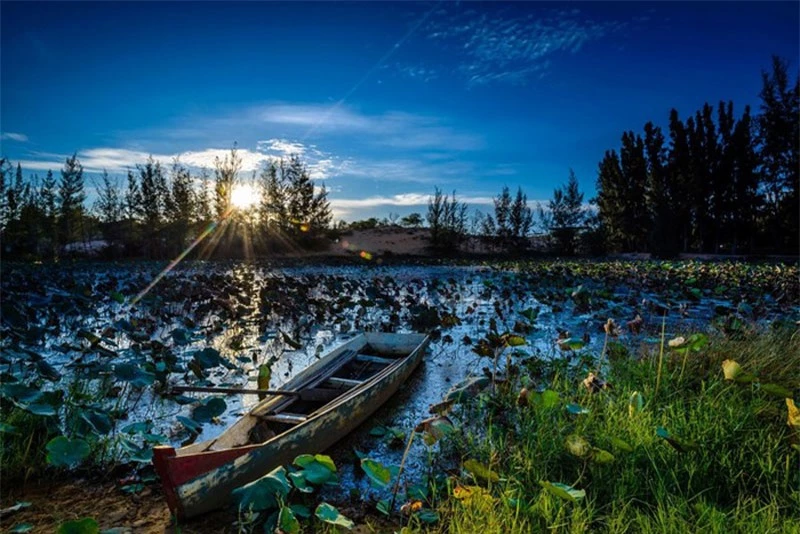 “Bạch Hồ” bắt đầu xuất hiện trong thơ của Nguyễn Thông và cũng từ đó trở thành tên mà giới thi nhân gán cho Bàu Trắng. Ảnh: Pham Linh.