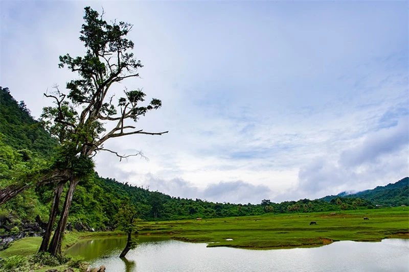 Hồ Noong nằm trên dãy núi Tây Côn Lĩnh, là hồ nước tự nhiên, ôm gọn lấy chân ngọn núi Noong xanh ngắt, cao vời. Ảnh: Quang Anh.