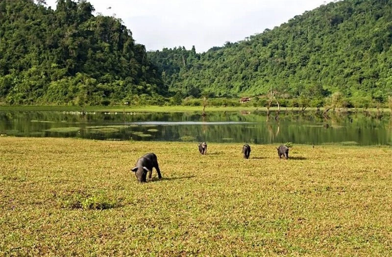Hồ thuộc địa phận xã Phú Linh, huyện Vị Xuyên và cách trung tâm thành phố Hà Giang 23 km. Ảnh: Cangcam.