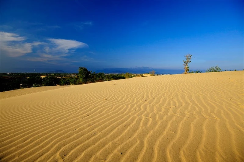 Cách thành phố Phan Rang khoảng 8km về phía Đông Nam, đồi cát Nam Cương thuộc làng Tuấn Tú của đồng bào Chăm, xã An Hải, huyện Ninh Phước, Ninh Thuận. Ảnh: Diem Dang Dung.