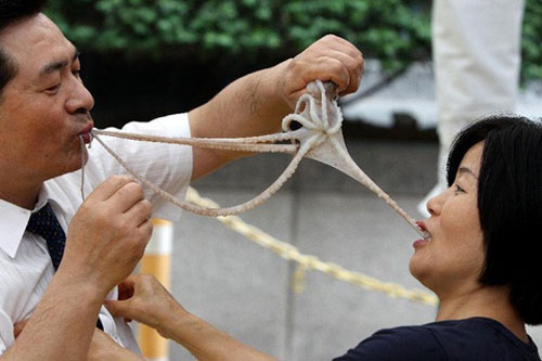 Loạt món kỳ dị ít người dám thử ở Hàn Quốc