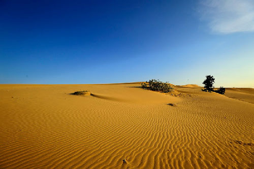 Vẻ quyến rũ của đồi cát đẹp bậc nhất Đông Nam Á ở ngay Việt Nam