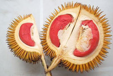 Bất ngờ khi sầu riêng còn có ruột màu này ngoài màu vàng truyền thống