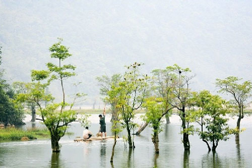 Ngắm “mắt rừng” của mảnh đất địa đầu Tổ quốc