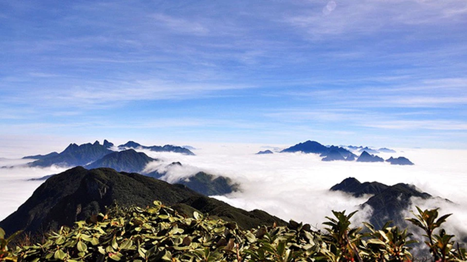Cũng nằm trong dãy Hoàng Liên Sơn quanh năm mây phủ, Putaleng là ngọn núi cao thứ 2 ở Việt Nam với độ cao 3.096 m so với mực nước biển. Núi nằm trong xã Tả Lèng thuộc huyện Tam Đường, tỉnh Lai Châu. Ảnh: Phapluat.vn.