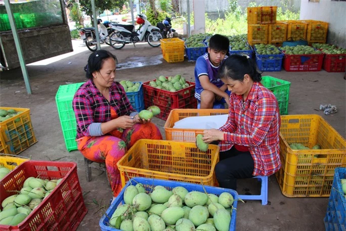 Bất ngờ 6 món ăn, thức uống của Đồng Tháp lọt vào tốp 100 đặc sản Việt Nam - Ảnh 9. Bất ngờ 6 món ăn, thức uống của Đồng Tháp lọt vào tốp 100 đặc sản Việt Nam - Ảnh 9.