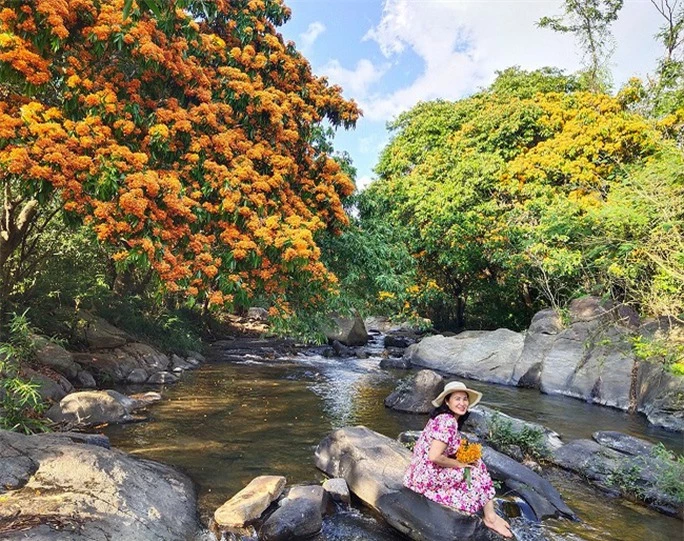 Hoa trang rừng phủ kín suối Tà Má - Ảnh 2.