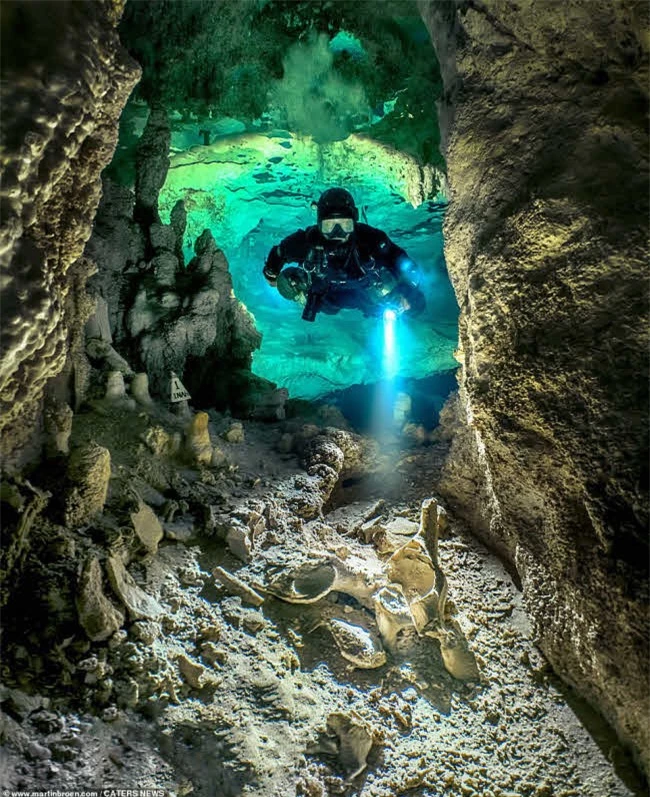 Khám phá hang động dưới nước đẹp bí ẩn ở Mexico 3