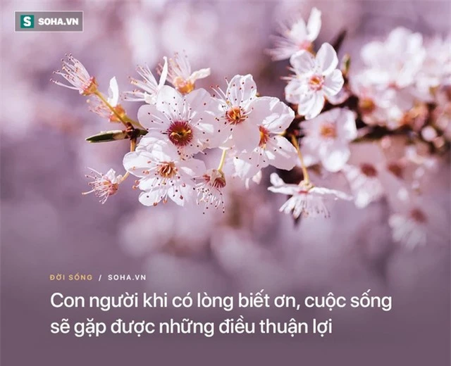 Nhà Phật chỉ ra 2 kiểu người mệnh khổ phúc mỏng, không sớm thay đổi sẽ chỉ gặp tai ương bất hạnh - Ảnh 4.