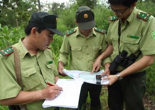 "Màu cỏ úa" có nhiều sự trùng lập giữ đồng phục của các đơn vị Bộ, Ngành và cơ sở chức năng khác