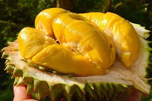 Loại trái cây càng ăn càng tăng cân