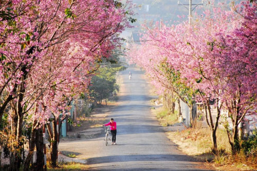 7 cung đường bộ đẹp nhất Việt Nam xuất hiện trên Tạp chí du lịch danh tiếng thế giới: Ngắm cảnh còn ngỡ lạc vào động tiên