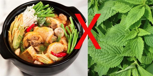 5 loại thực phẩm được khuyên cấm kỵ với thịt gà khiến nhiều người ngạc nhiên - Ảnh 3.