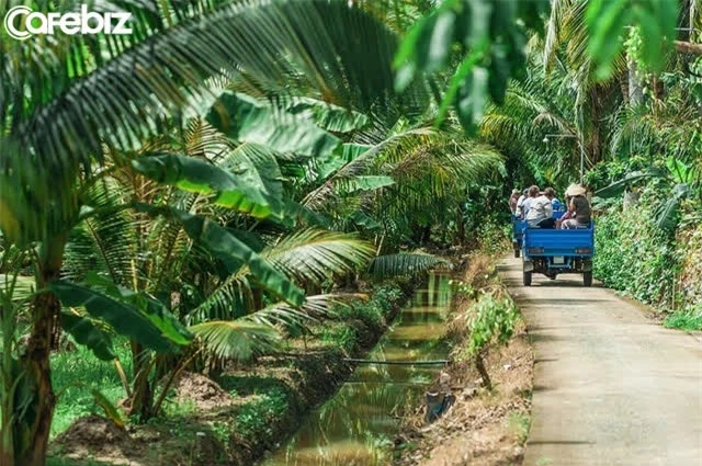 7 cung đường bộ đẹp nhất Việt Nam xuất hiện trên Tạp chí du lịch danh tiếng thế giới: Ngắm cảnh còn ngỡ lạc vào động tiên - Ảnh 6.