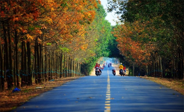 7 cung đường bộ đẹp nhất Việt Nam xuất hiện trên Tạp chí du lịch danh tiếng thế giới: Ngắm cảnh còn ngỡ lạc vào động tiên - Ảnh 8.