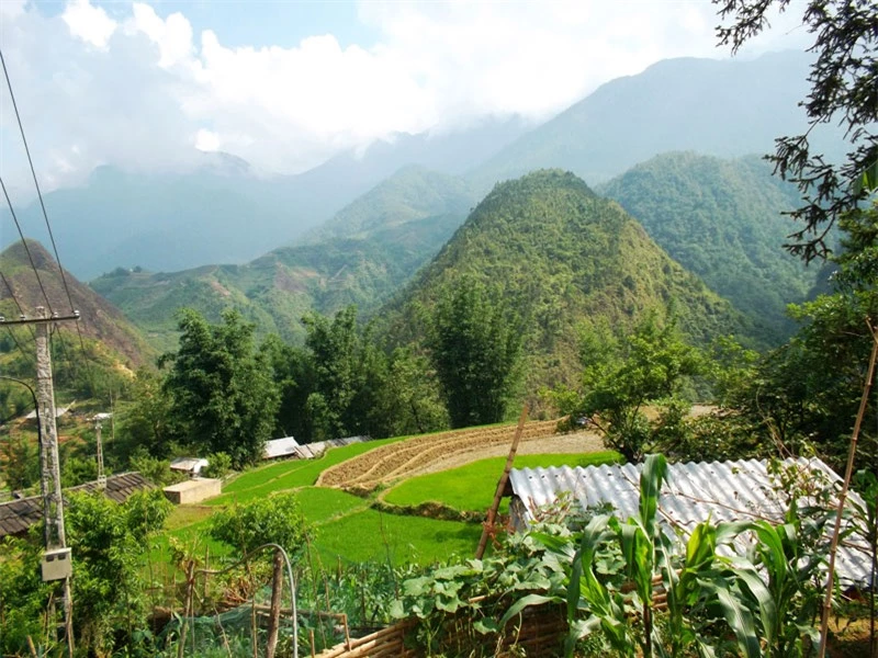 Ảnh: Thongtindulichsapa. Ảnh: Thongtindulichsapa.