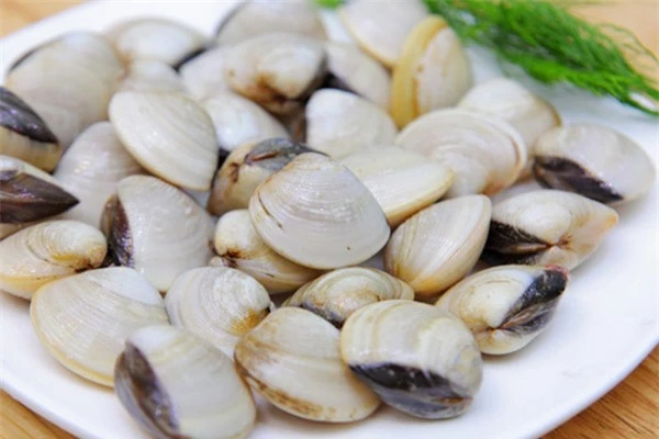 Dân biển bật mí mẹo đơn giản giúp ngao nhanh nhả sạch cát, cách cuối siêu nhanh ít mẹ đảm nào biết - Ảnh 3. Dân biển bật mí mẹo đơn giản giúp ngao nhanh nhả sạch cát, cách cuối siêu nhanh ít mẹ đảm nào biết - Ảnh 3.
