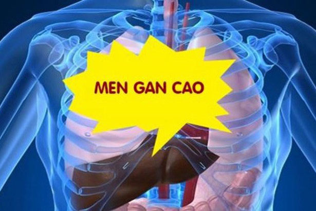 Bị men gan cao thì nên ăn thực phẩm nào?