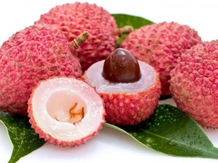 Ăn vải không đúng cách hại sức khoẻ, thậm chí ngộ độc
