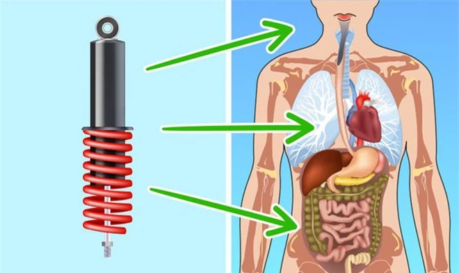 10 điều kỳ diệu mà cơ thể chúng ta có thể làm được, khiến bạn phải thừa nhận rằng thân thể mình chính là cỗ máy đỉnh cao nhất - Ảnh 9.