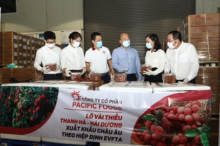 Vải thiều Việt Nam chính thức lên đường sang EU