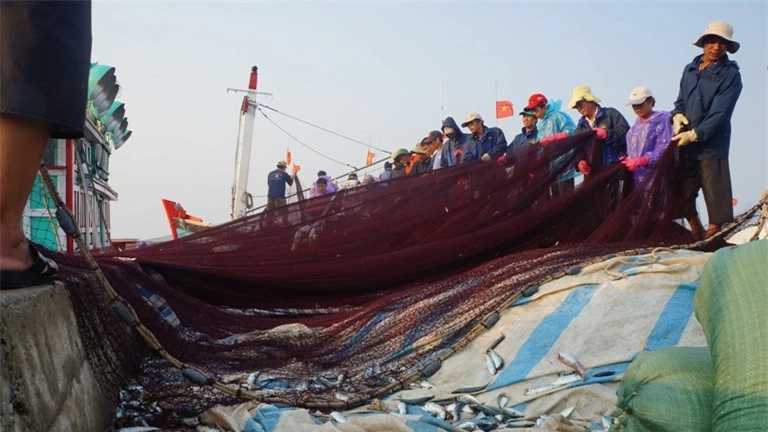 chợ cá Lý Sơn