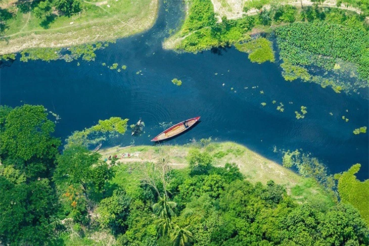 Hoa sung trang la bieu tuong cua nuoc nao?-Hinh-3